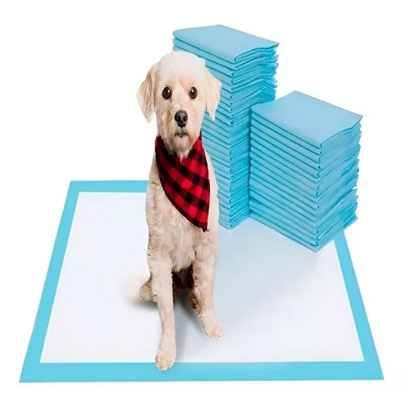 GENERICO - Sabanillas 60x60 Sabanillas Para Mascotas Pañales Sabanillas