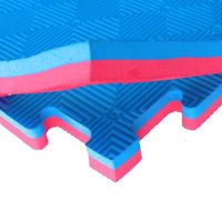 Plancha Tatami 1mt X 1mt X 2,5cm Rojo/azul