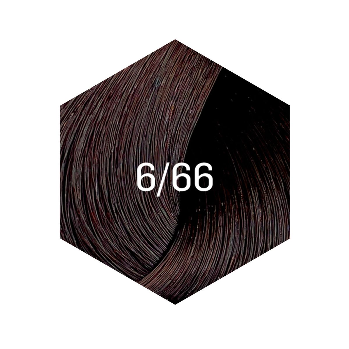 LAKME - tintura new gloss 60ml 6/66 castaño