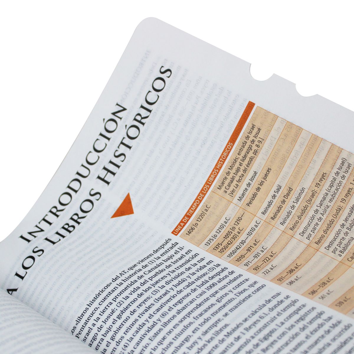 SOCIEDAD BIBLICA DE BRASIL - Biblia de Estudio Teológico Reina Valera 1960