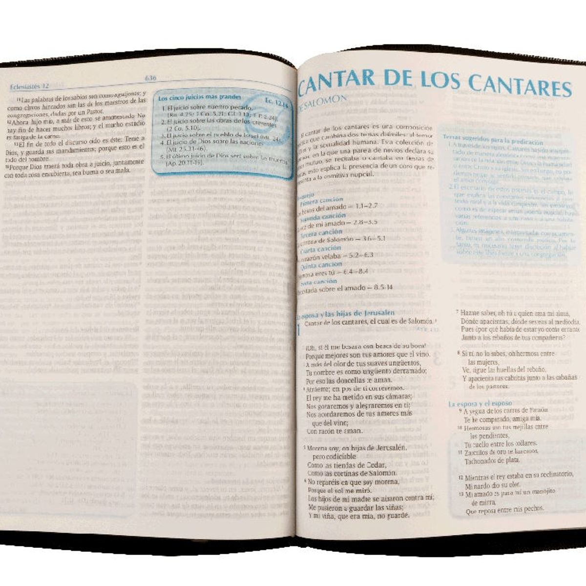 SOCIEDAD BIBLICA DE BRASIL - Biblia para la predicación RVR 1960 negra con indice y cierre