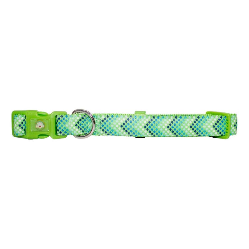 MASCAN - Collar Perro Puntitos Xs Verde Mascan
