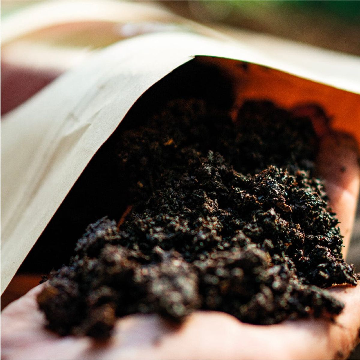 DE RAÍZ - Humus De Lombriz 1Kg De Raíz Abono