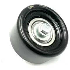 GENERICO - Polea Correa Alternador Chevrolet Captiva 2.4 2007-2017