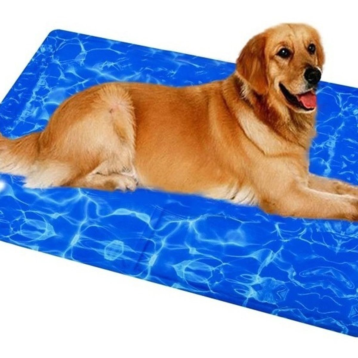 GENERICO - Manta Refrescante Alfombra Mascotas Cama Perro 40x50cm