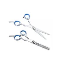 Set Tijera De Corte Filo Navaja Esculpidora Profesional Azul