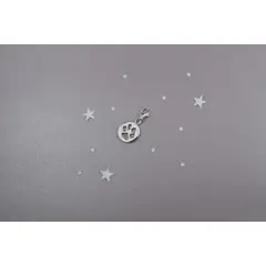 ROSETT - Colgante huella de perro en placa Plata ley 925