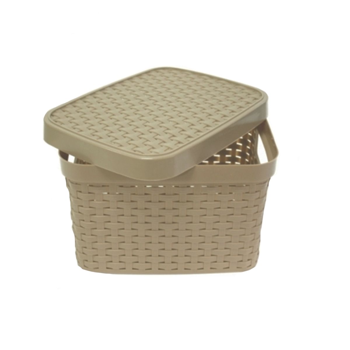 NEWTREE - Cesto Organizador Plástico CT 31x19cm 122x74in
