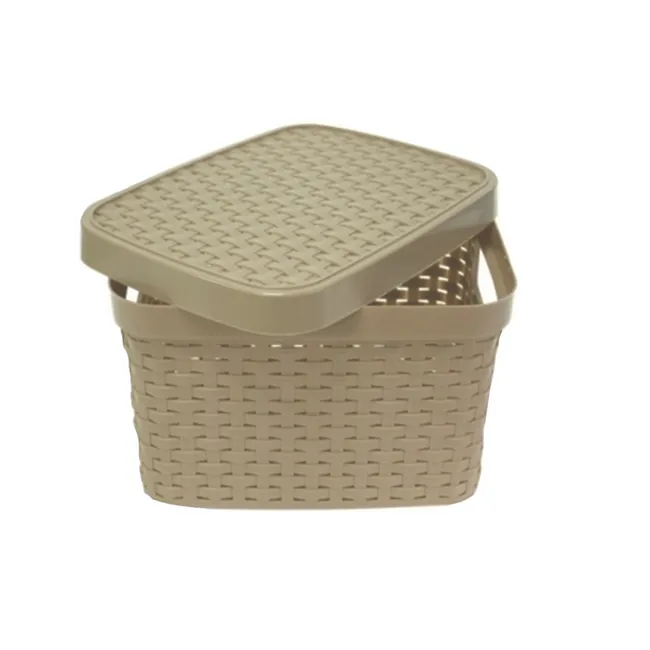 NEWTREE - Cesto Organizador Plástico CT 31x19cm 122x74in