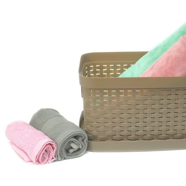 NEWTREE - Cesto Organizador Plástico CT 31x19cm 122x74in