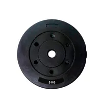 Disco Cementado Para Barra Mancuernas O Banco 5kg