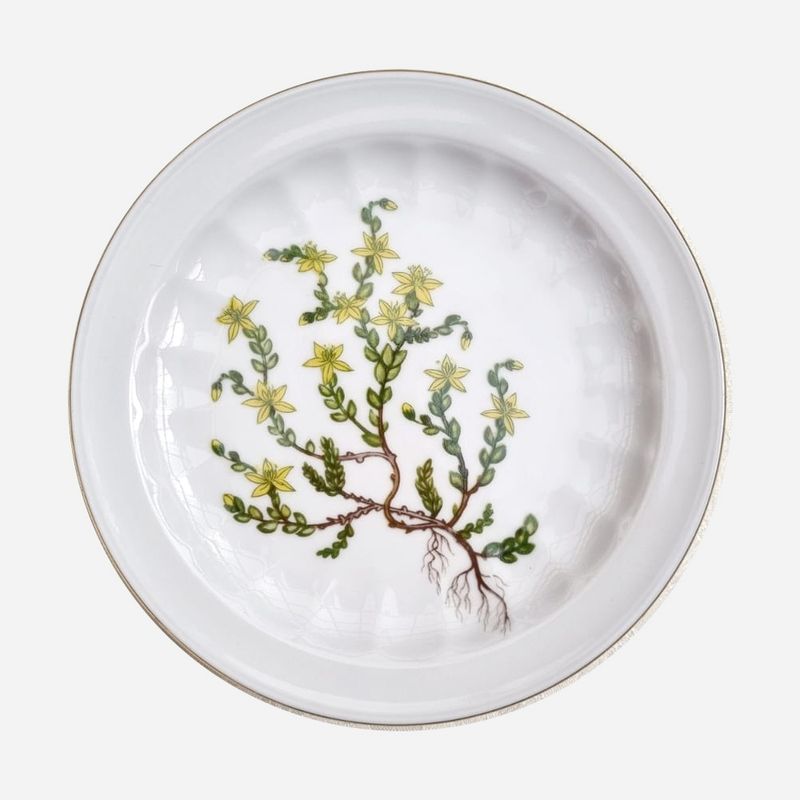 GENERICO - Plato de Pan Porcelana Sueca Carl Von Linne