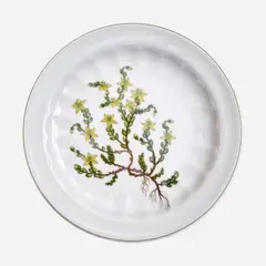 GENERICO - Plato de Pan Porcelana Sueca Carl Von Linne