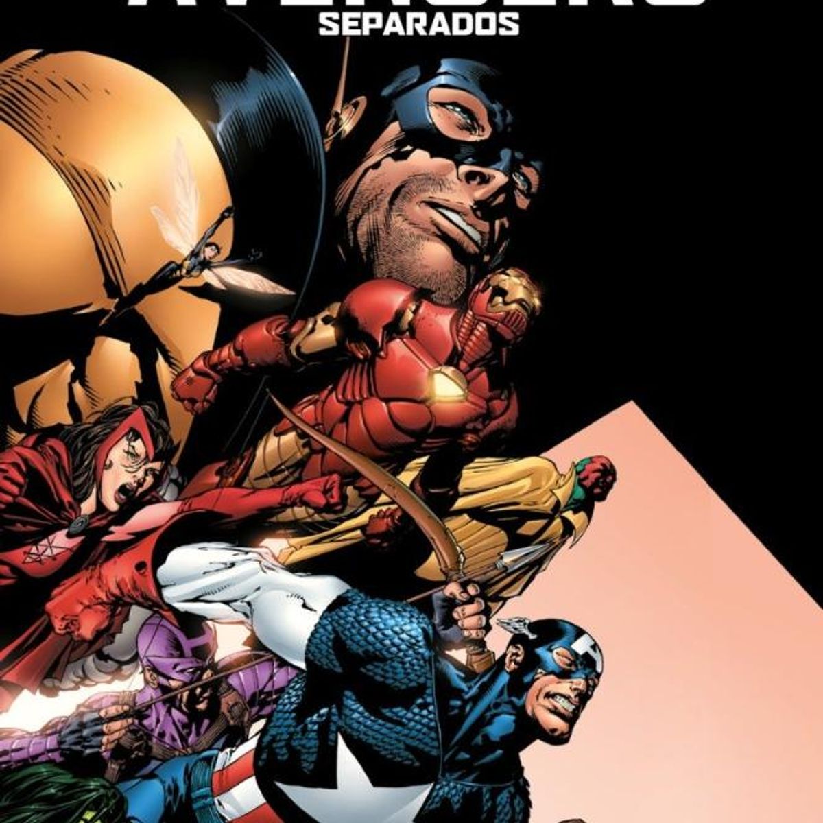 PANINI - Marvel Must Have. Avengers Separados