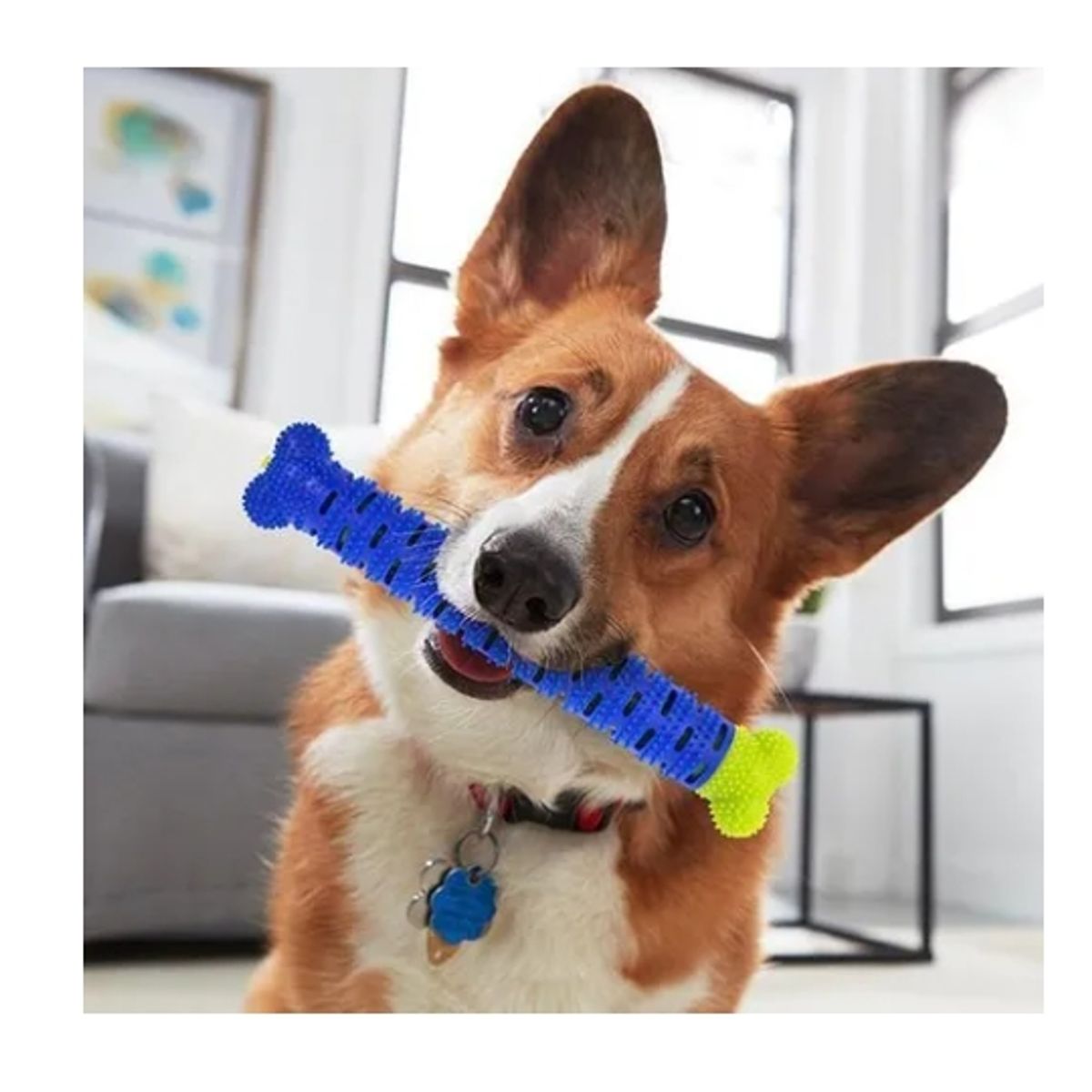 GENERICO - Hueso De Goma Masticable Limpiador De Dientes Para Mascotas