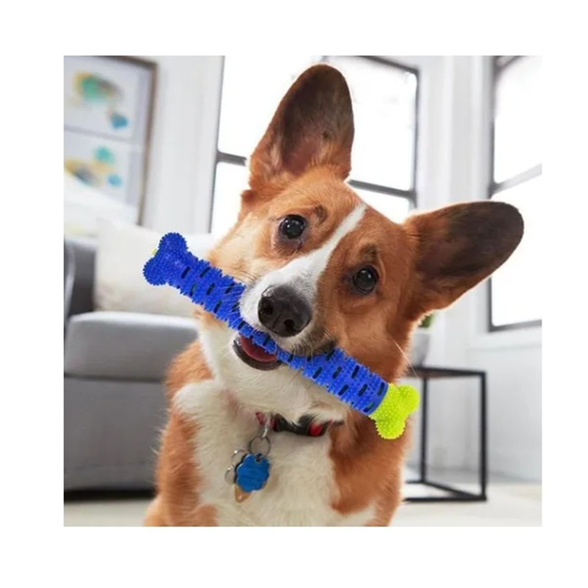 GENERICO - Hueso De Goma Masticable Limpiador De Dientes Para Mascotas