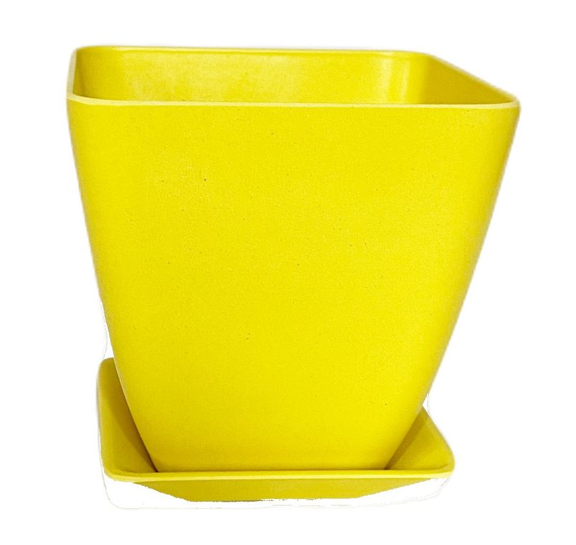 SET MACETA BIODEGRADABLE CON PLATO CUADRADO AMARILLO.