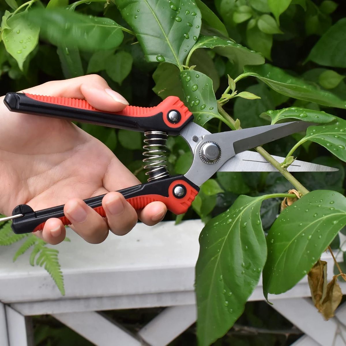 AIZO - Tijeras de podar Herramienta profesional de jardineríaÁrboles Frutales