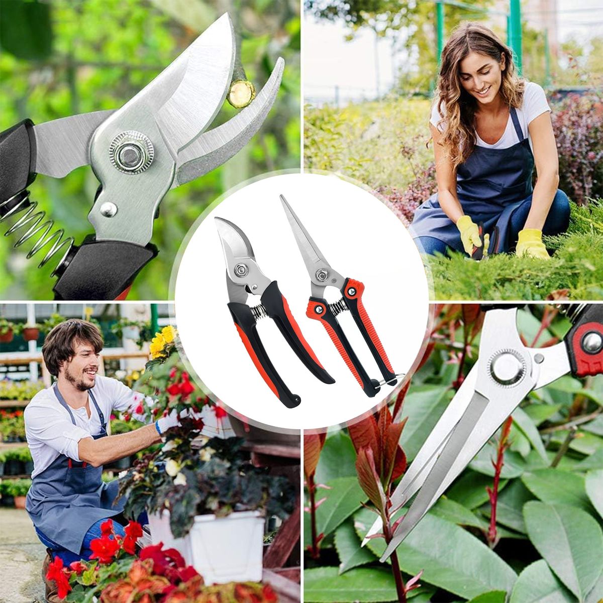 AIZO - Tijeras de podar Herramienta profesional de jardineríaÁrboles Frutales