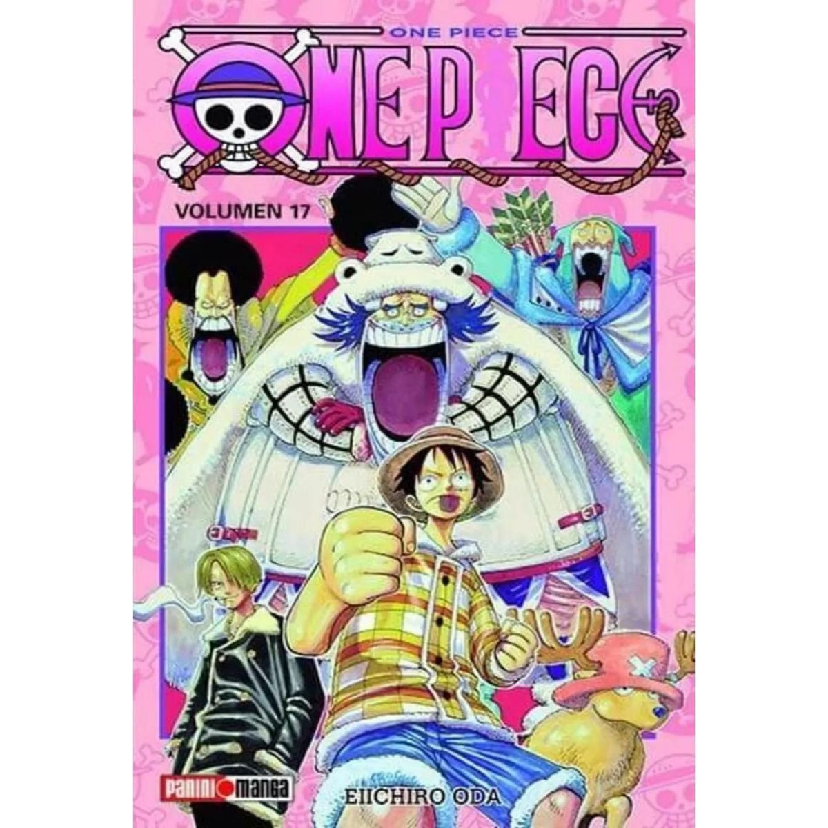 PANINI - One Piece N17