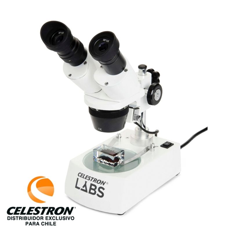 CELESTRON - Microscopio Lupa Estereoscópica Celestron Labs S10-60 