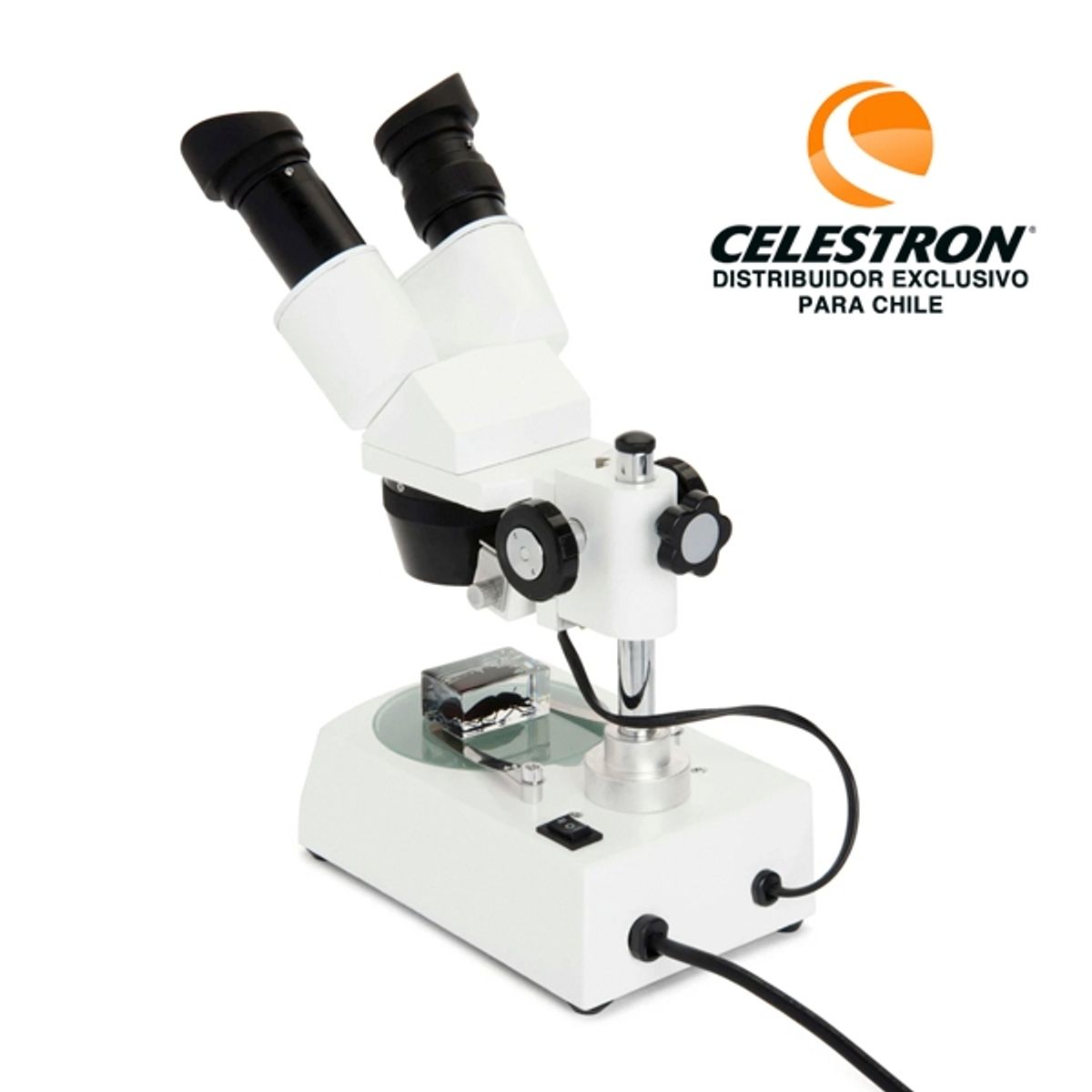 CELESTRON - Microscopio Lupa Estereoscópica Celestron Labs S10-60 