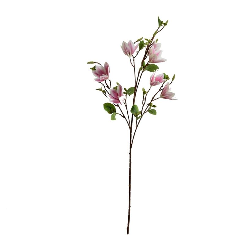 NECTAR - Helleborus light purple 100cm