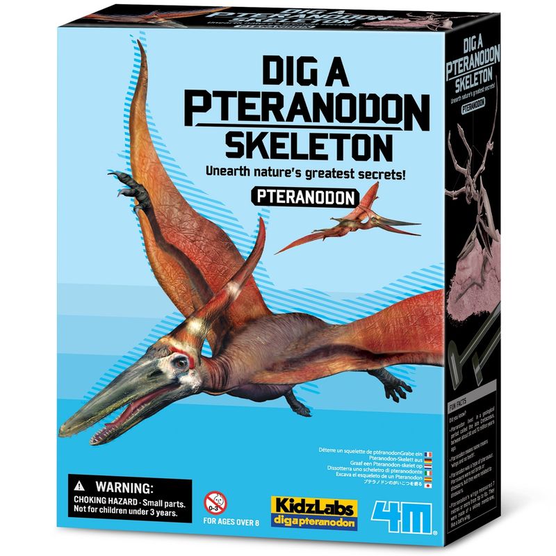 4M - Dinosaurio Pteranodon Excava