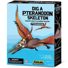 4M - Dinosaurio Pteranodon Excava