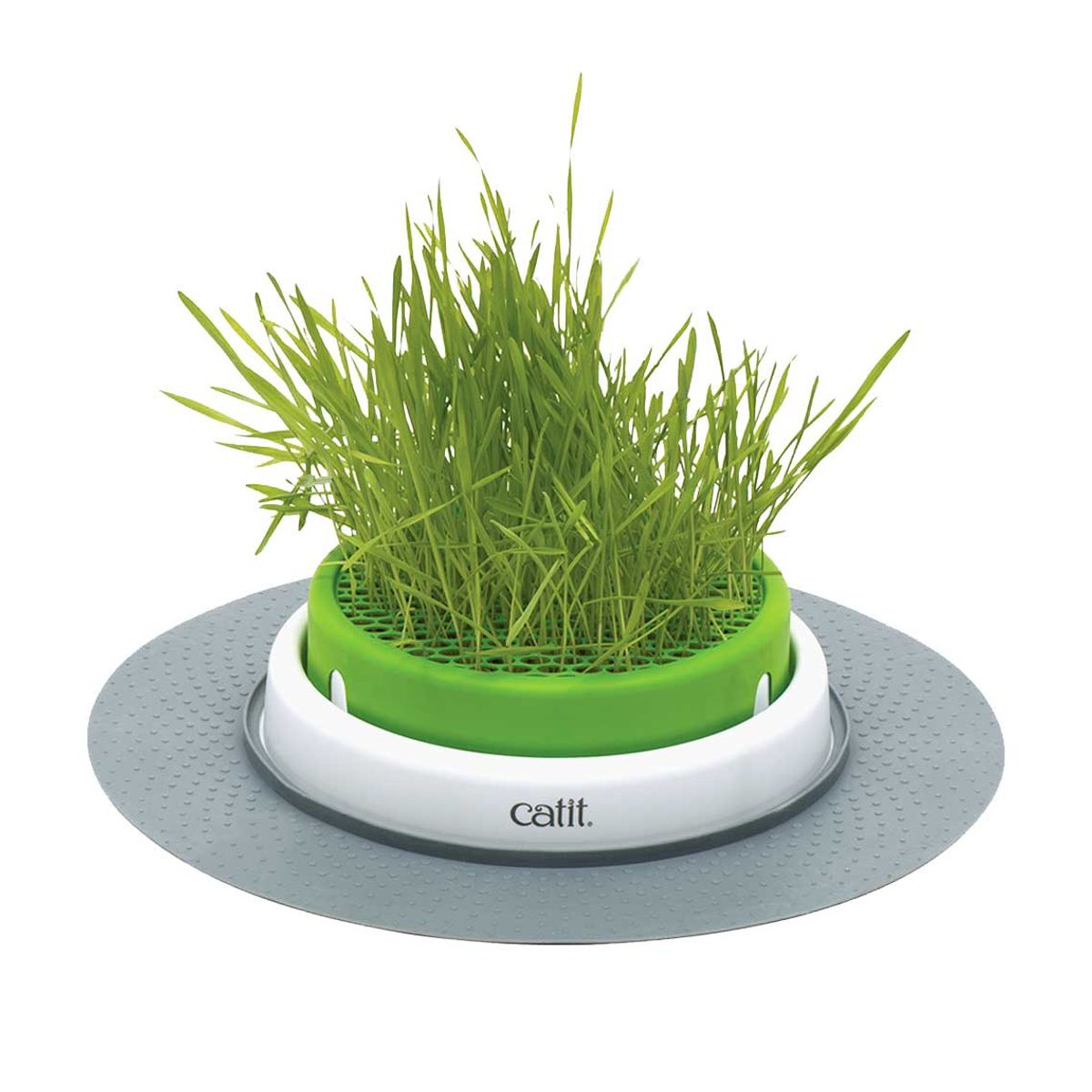 CATIT - Kit Germinador de Pasto Catit Cat Grass