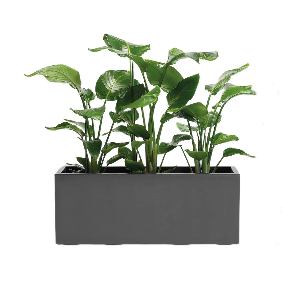 EURO3PLAST - Jardinera de plástico reciclado,99,5x39,5x39,5 cm, 102 litros