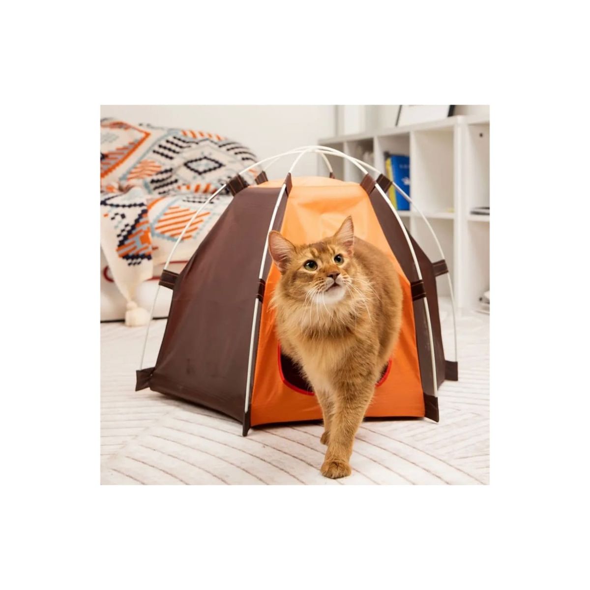 GENERICO - Carpa Casa Para Gatos o Perros Cachorros