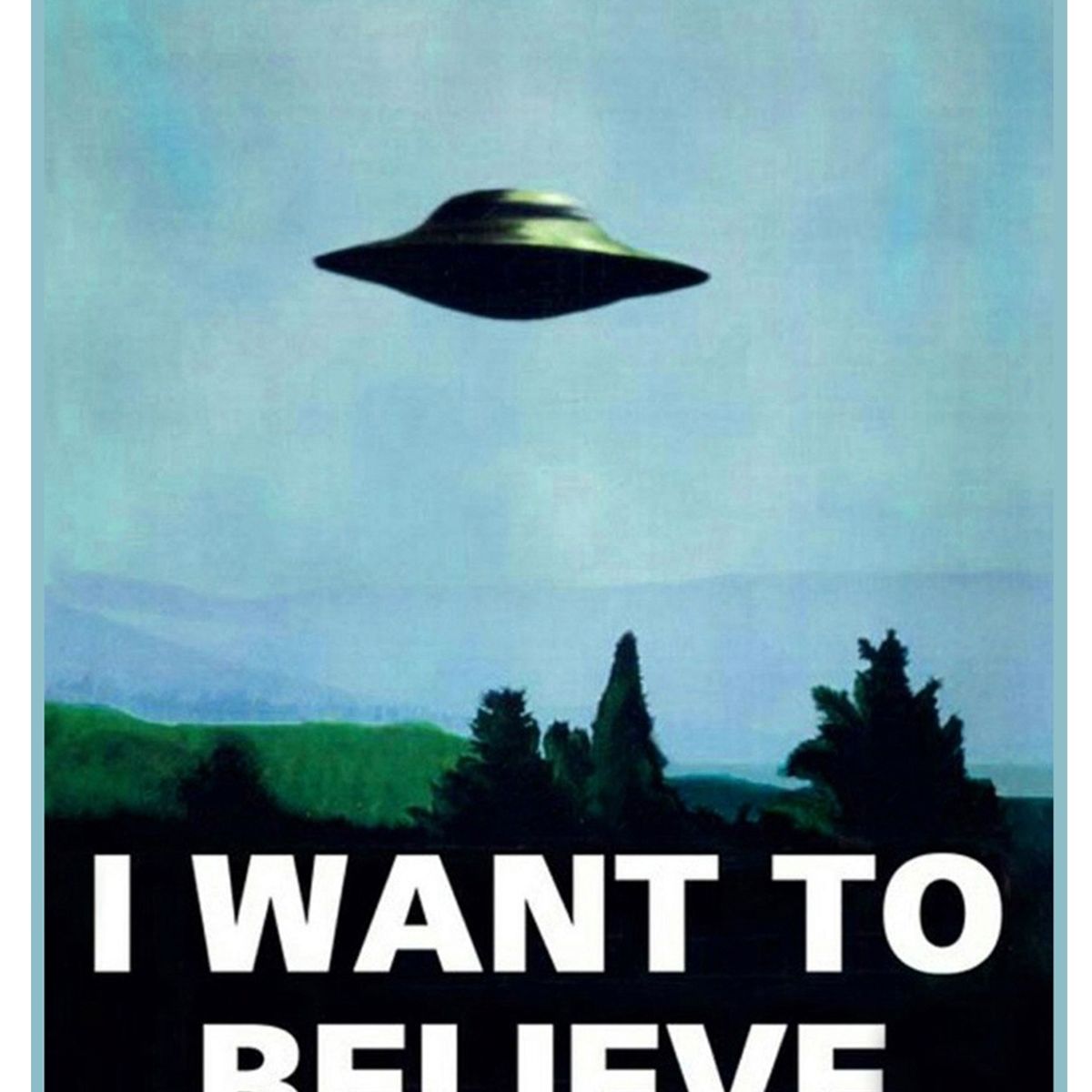 GENERICO - Cuadro De 50x70 I Want To Believe  Con Bastidor