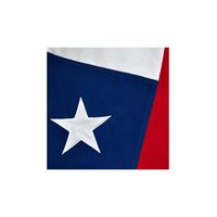 Bandera Chilena 290 X 450 Excelente Calidad - S4501
