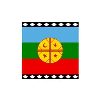 Bandera Mapuche 90 X 150 - S0800