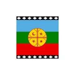 GENERICO - Bandera Mapuche 90 X 150 - S0800