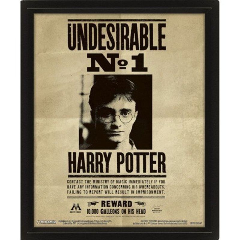 PYRAMID INTERNATIONAL - Poster 3D lenticular con movimiento Harry Potter Potter y Sirius Black