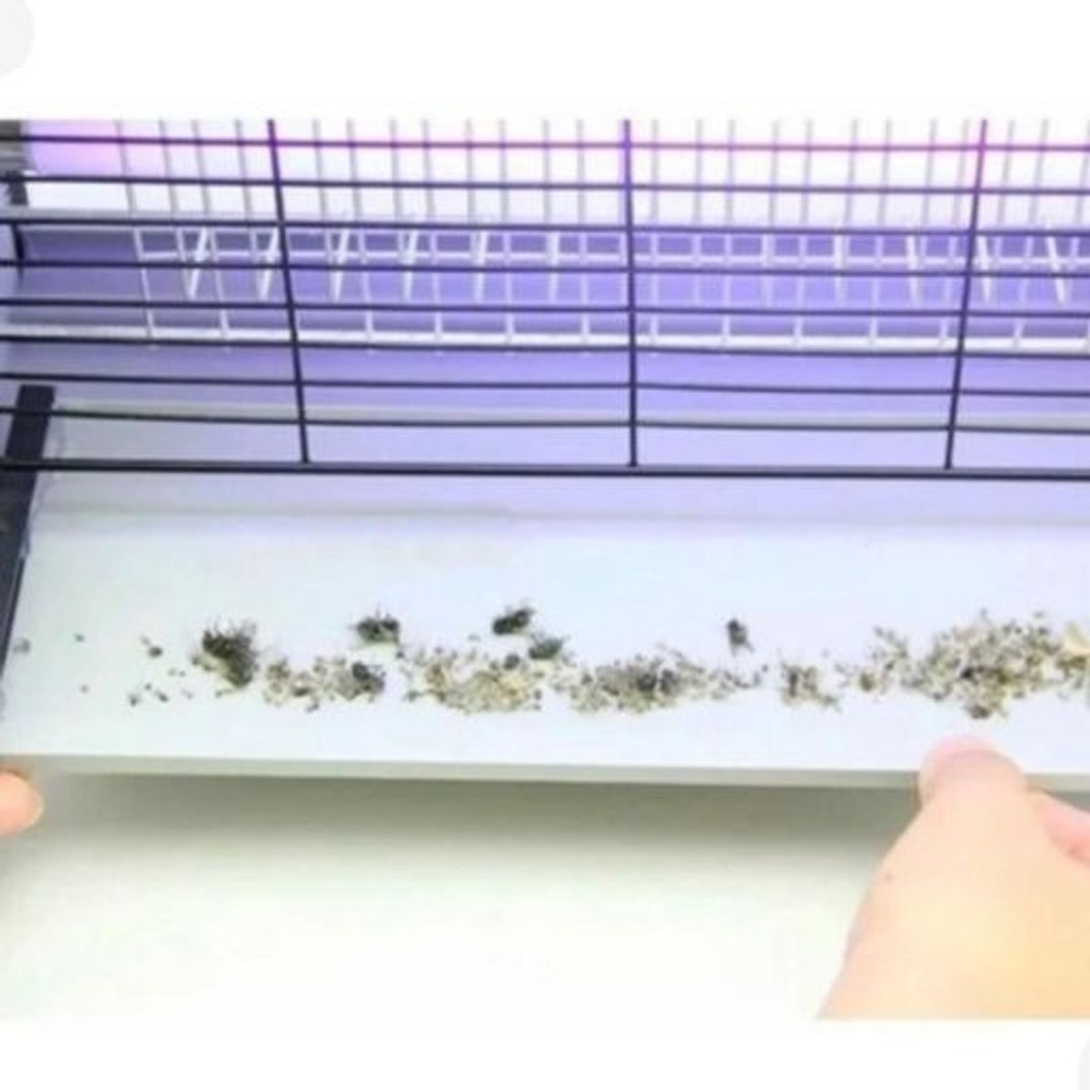 GENERICO - Mata insectos eléctrico elimina todo tipo de plaga