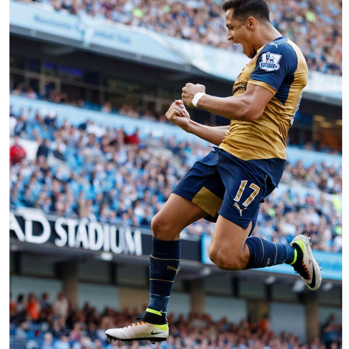 GENERICO - Cuadro De 50x70 De Alexis Sánchez