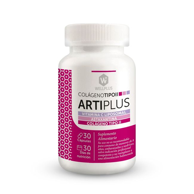WELLPLUS - ArtiPlus 30 cápsulas