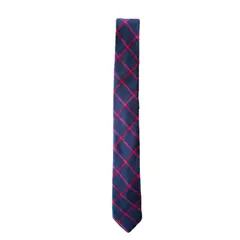 ELAB PROPIA - Corbata Guayo Dublín