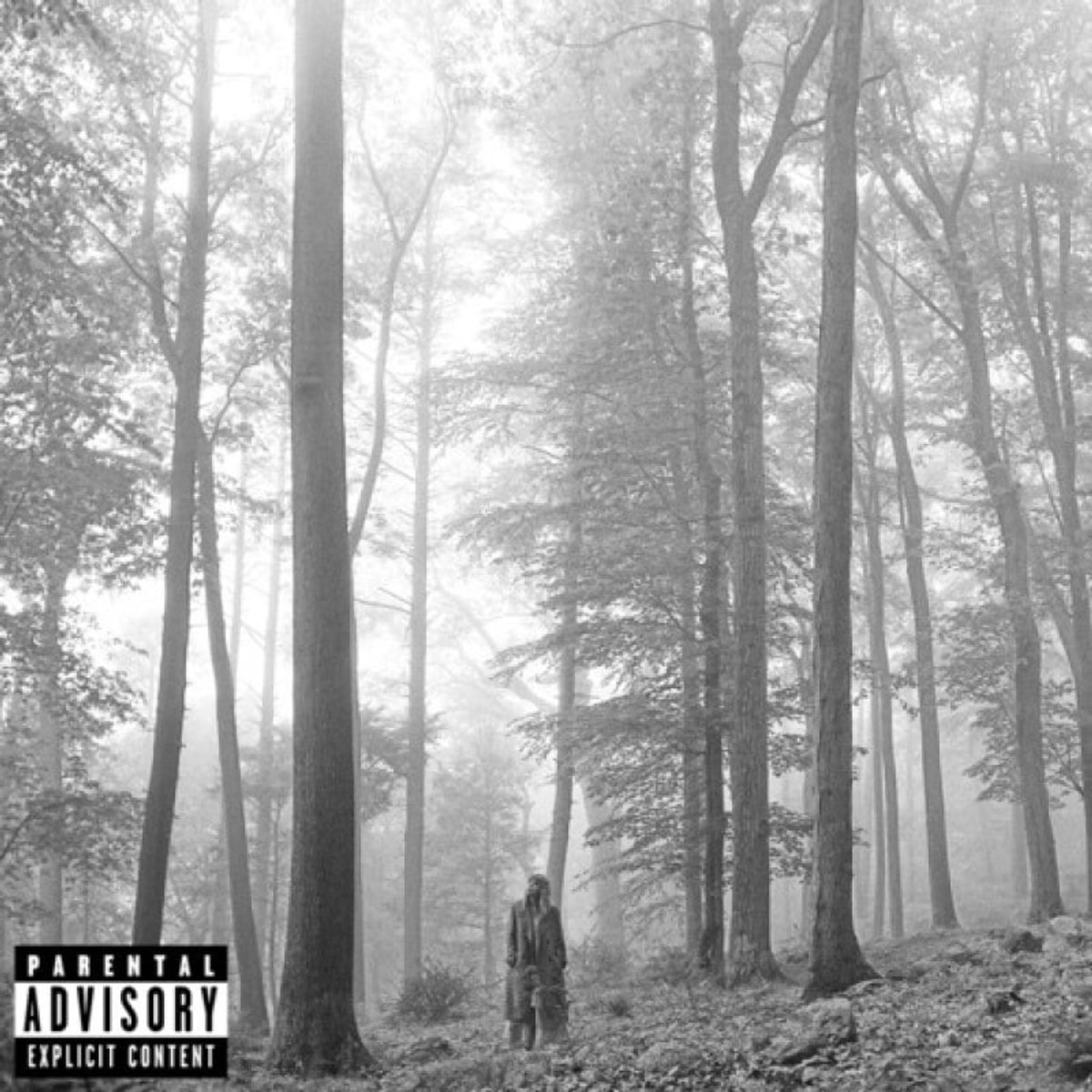 GENERICO - Vinilo Taylor Swift - Folklore