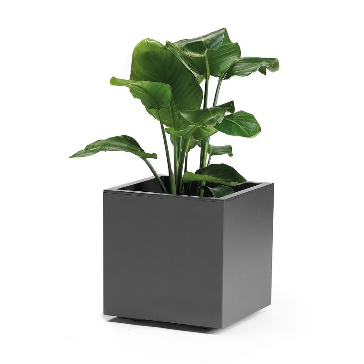 EURO3PLAST - Macetero de plástico reciclado con reserva de agua 40x40 cm