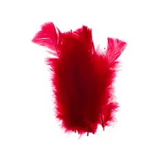 GENERICO - Plumas De Color A Elección / 100 Unidades