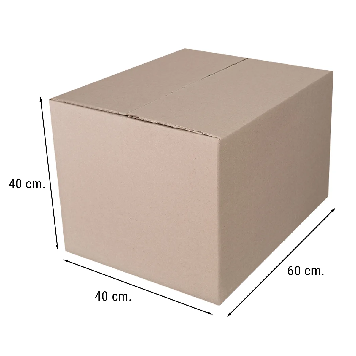 MILLAM - Pack 5 Cajas de Cartón 12 c Embalaje 60x40x40 cm