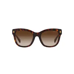RALPH - Lentes de Sol Shiny Dark Havana