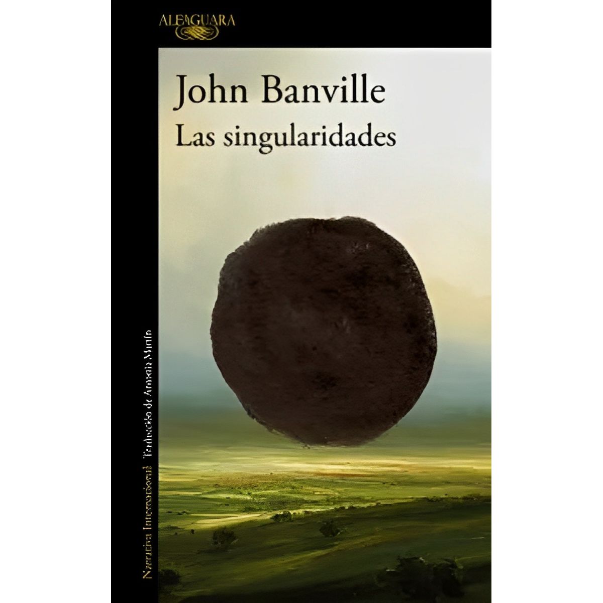TOP10BOOKS - LIBRO Las Singularidades - Las Singularidades