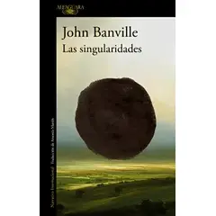 TOP10BOOKS - LIBRO Las Singularidades - Las Singularidades