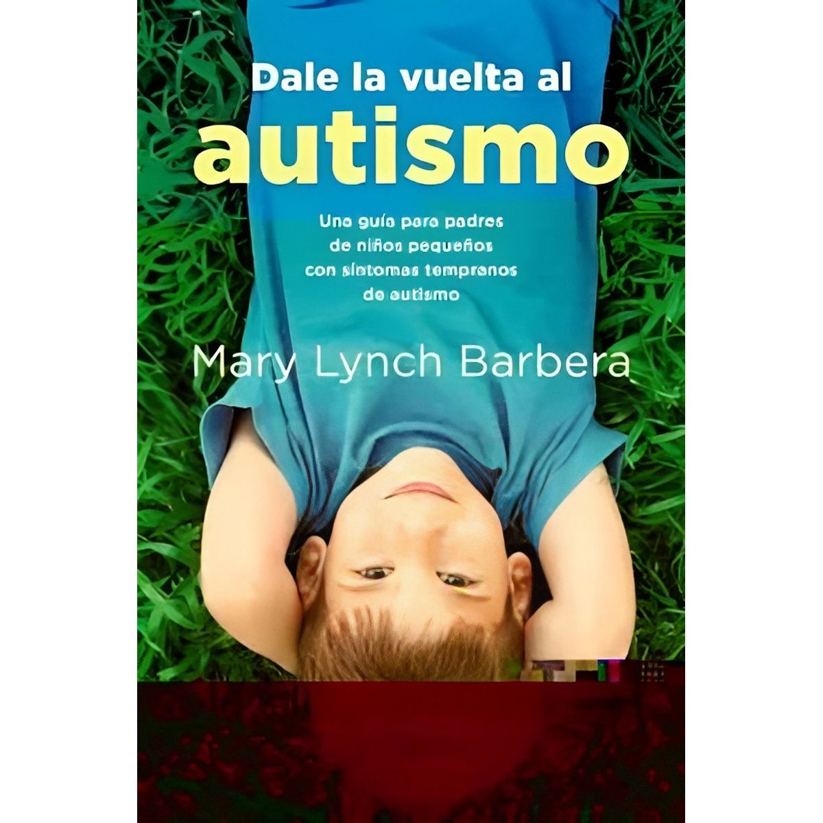 TOP10BOOKS - LIBRO Dale La Vuelta Al Autismo - MARY LYNCH BARBERA