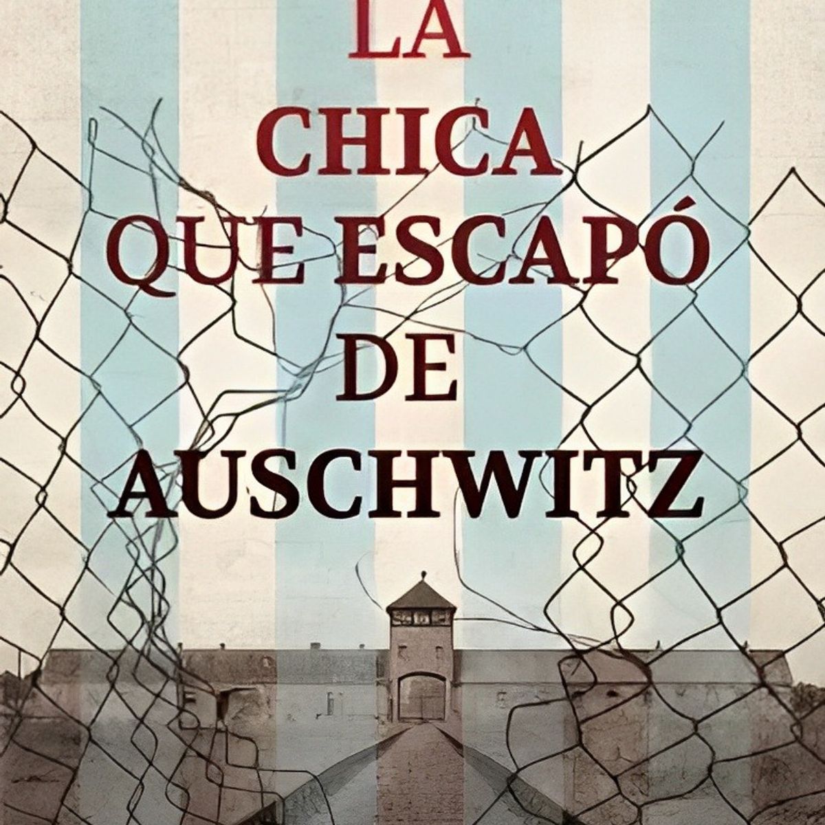 TOP10BOOKS - LIBRO La Chica Que Escapo De Auschwitz - Ellie Mitwood
